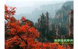 春節(jié)期間：張家界、天子山、金鞭溪自駕車精華精品游