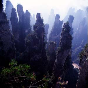 【純玩拼團(tuán)線路】下午班：鳳凰古城、張家界、天子山三晚四日游