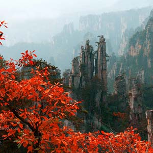 休閑自駕E線：張家界、袁家界、天子山、寶峰湖、鳳凰古城、沱江泛舟四晚五日游