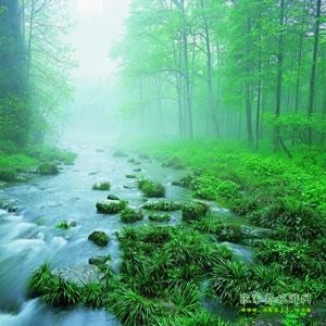 【純玩散拼尊享系列3】張家界、天子山、袁家界、黃龍洞、鳳凰三晚四日游