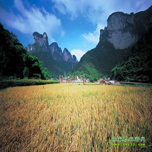 張家界往返純玩散拼：矮寨大橋、德夯苗寨、鳳凰古城、芙蓉鎮(zhèn)二日游